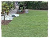 Zakadanie ogrodw w Kartuzy, trawnik z rolki typ Banino. Trawa z rolki