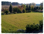 Zakładanie ogrodów Kartuzy, trawnik z rolki.